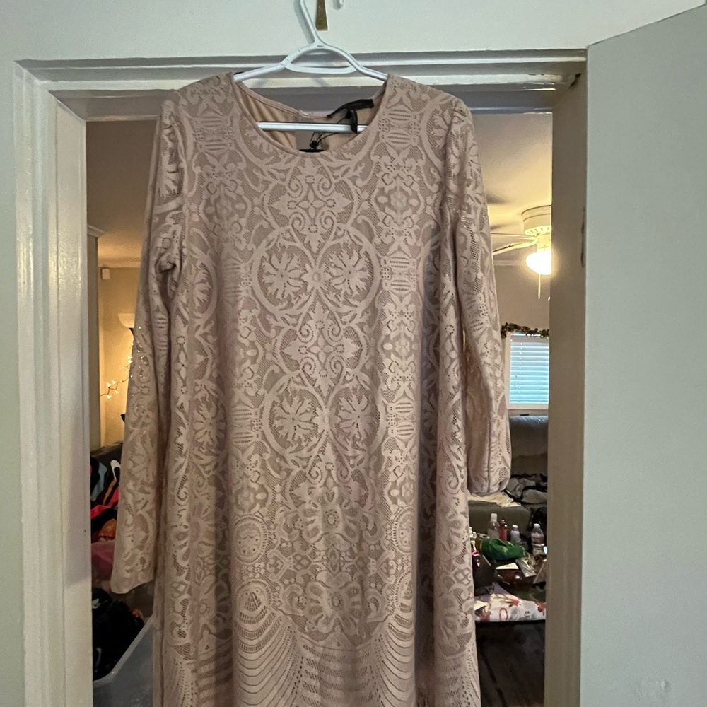 BCBG Elegant Long Sleeve Dress in Beige